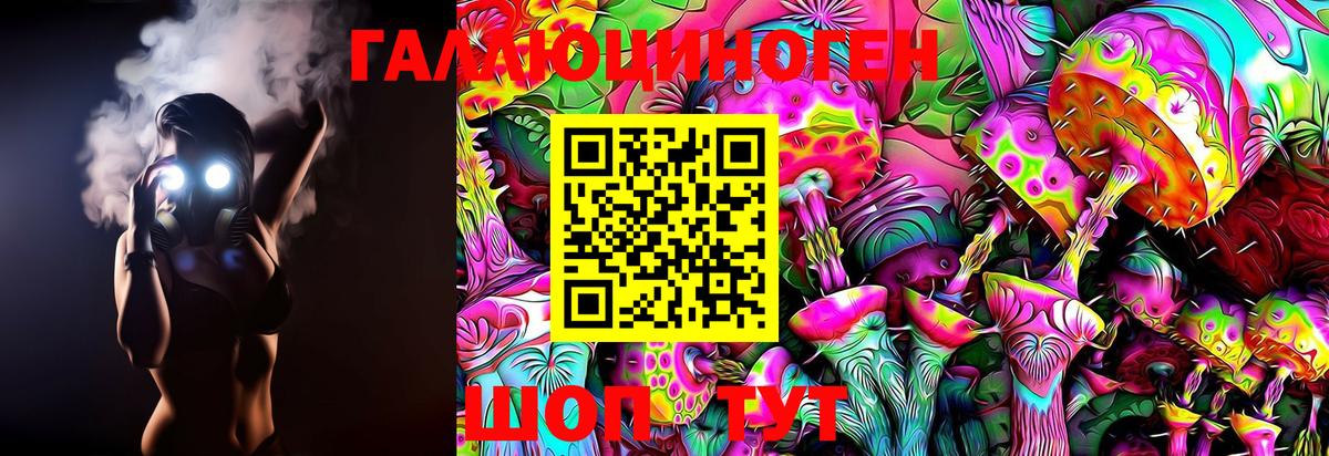 Лесосибирск  Псилоцибиновые грибы GOLDEN TEACHER  где можно купить наркотик  Вход с VPN 