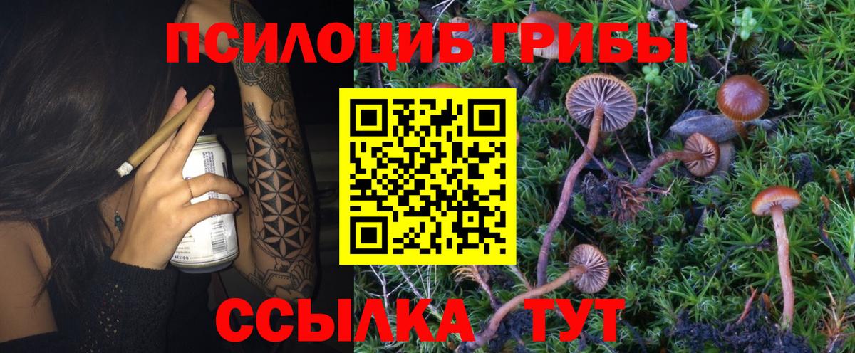 Галлюциногенные грибы мухоморы Лесосибирск